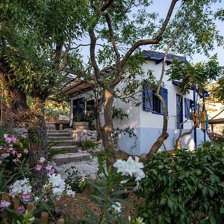 Les Maisons De Pecheurs Sète Exteriér fotografie